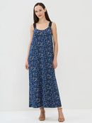 котята синий