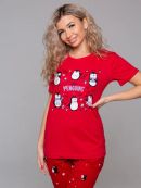 пингвины (красный)