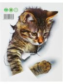 разноцветный