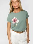 св.оливковый_цветок