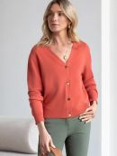 терракотовый