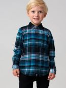 разноцветный