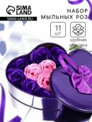 розовый, фиолетовый