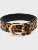 разноцветный