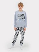 св.серый +комиксы